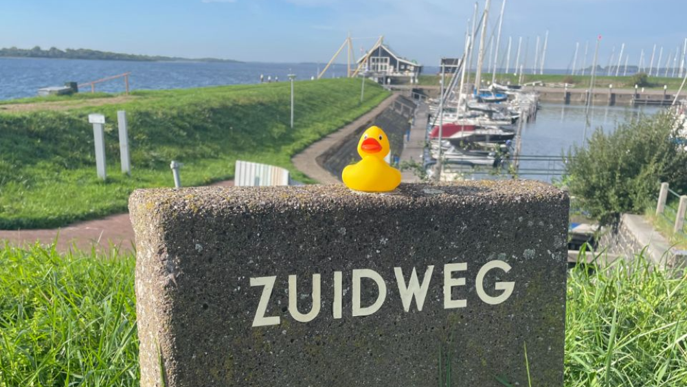 De badeend op de foto