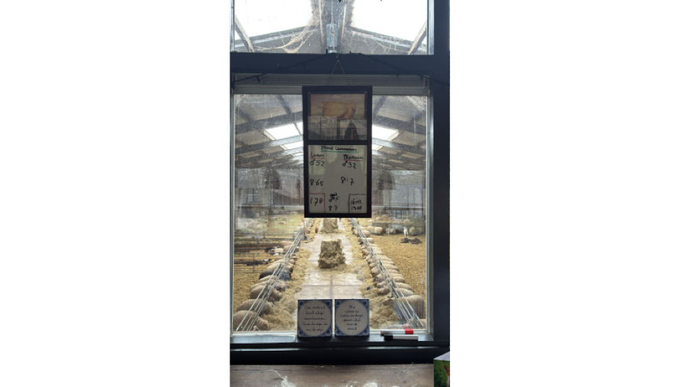 De schaapskooi, waar op de deur de 'score' wordt bijgehouden.