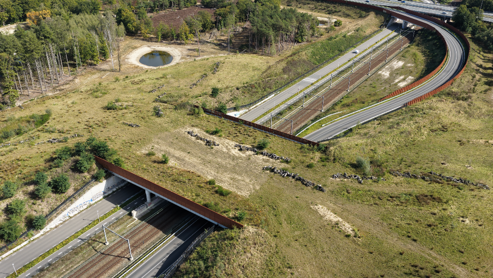 Natuurbrug Anna’s Hoeve.