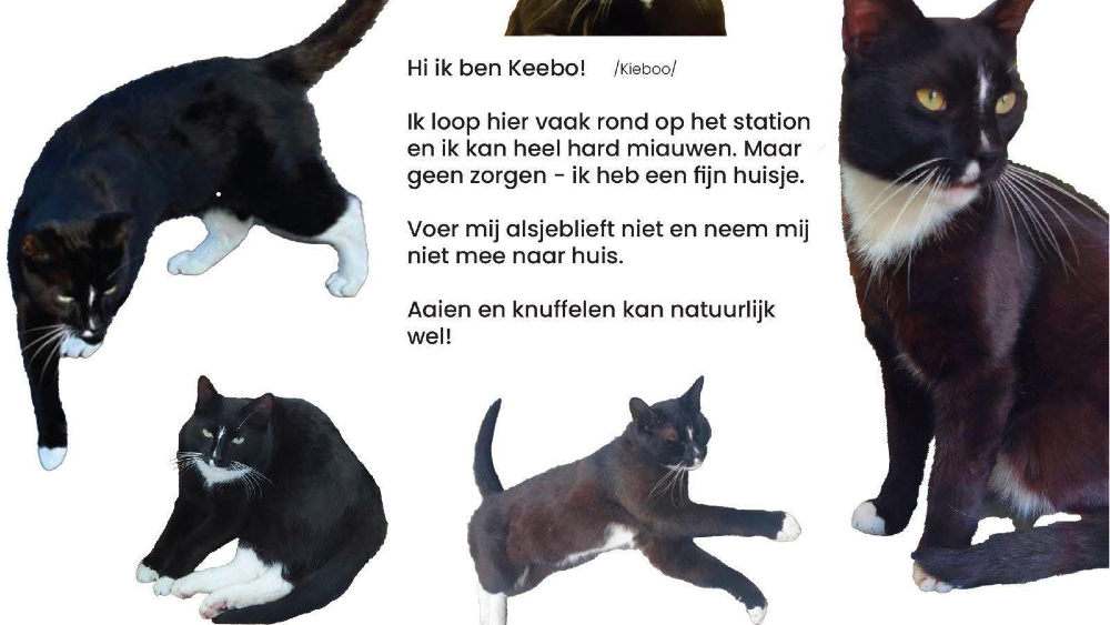 Eerder bericht over Keebo op social media