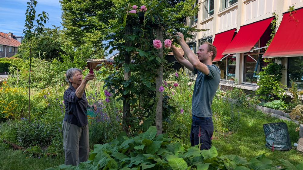 Elze (links) en Bart (rechts) in de pluktuin. (Foto: NH Gooi)