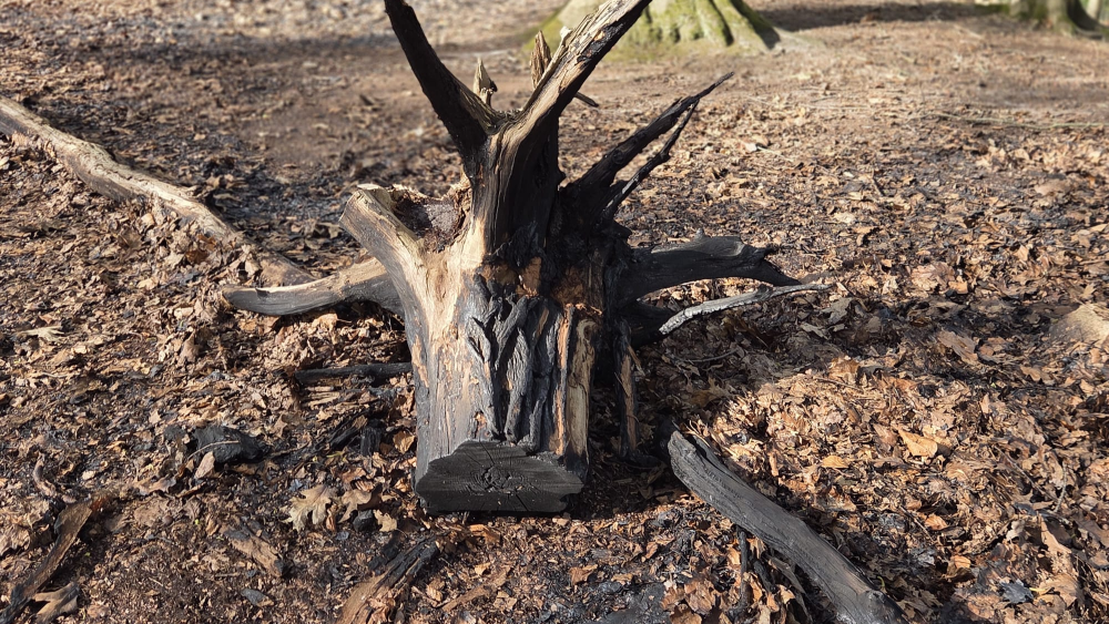 Het resultaat van de brand