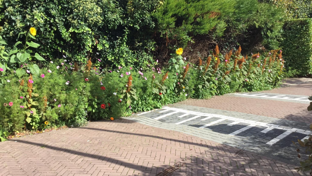 Het strookje groen dat door de omwonenden beheerd wordt.