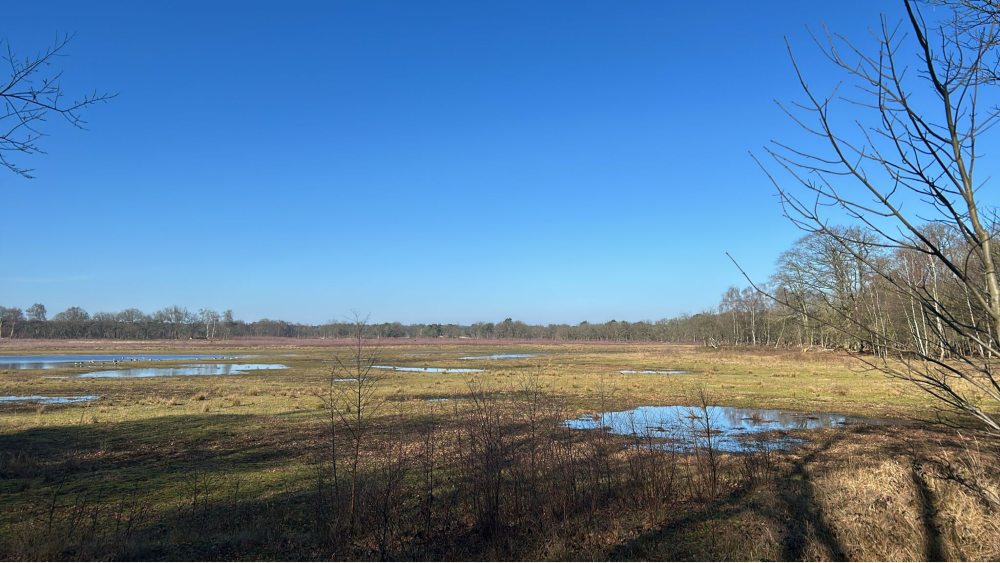 Het Wasmeer tussen Laren, Eemnes en Hilversum.