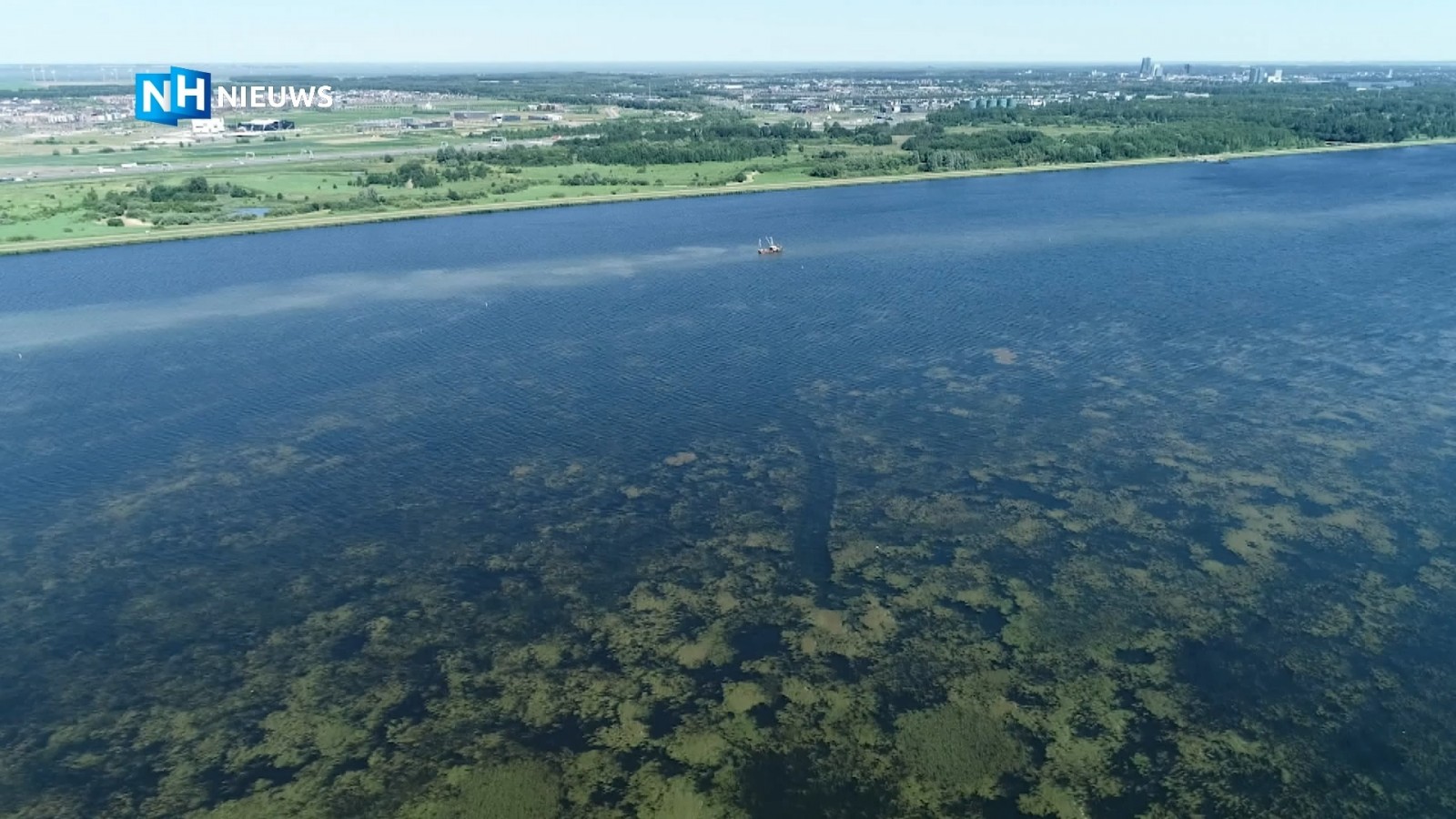 Al jaren overlast voor watersporters: is er eindelijk een oplossing voor fonteinkruid?