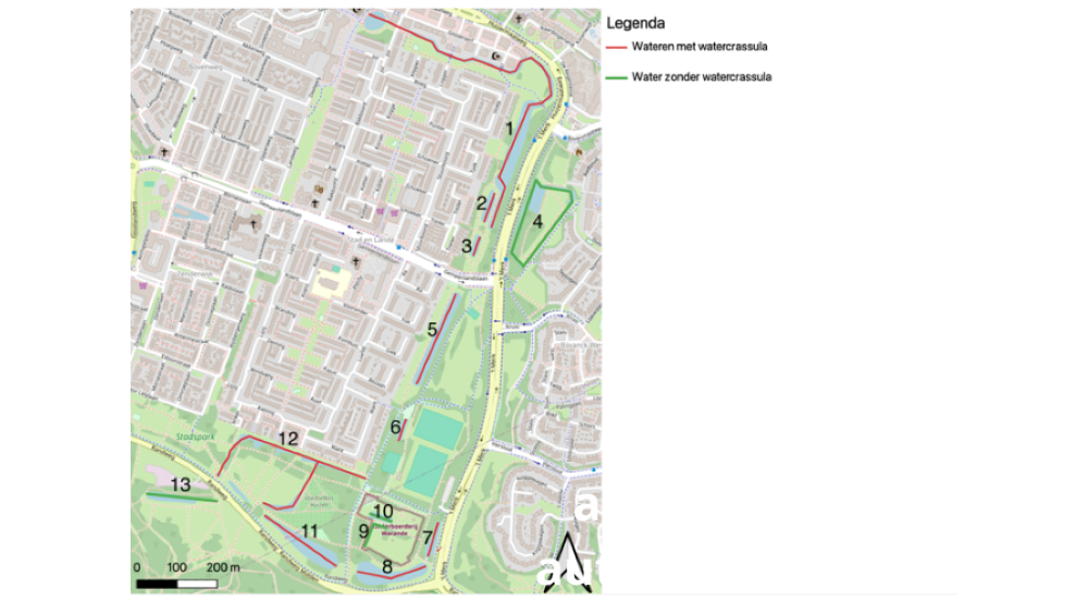 Kaart Huizen met plekken waar de watercrassula voorkomt