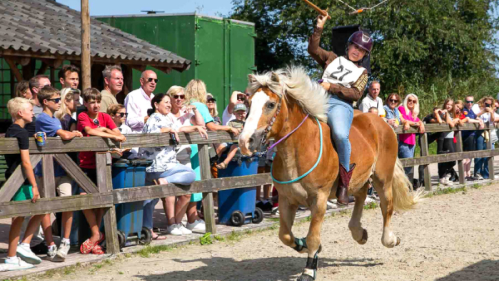 Ringsteken (archief)