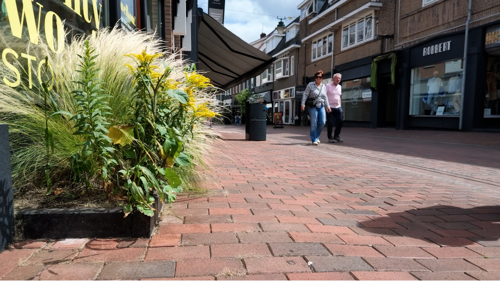 Meer groen in het centrum
