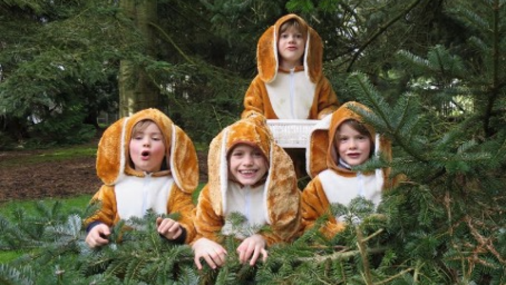 Paashazen Pinetum Hilversum