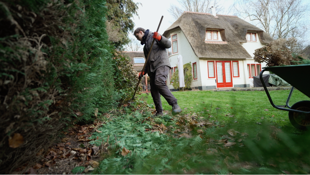 Stage bij bedrijf Groen