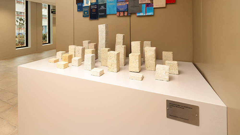 The Knowledge We Build Upon.